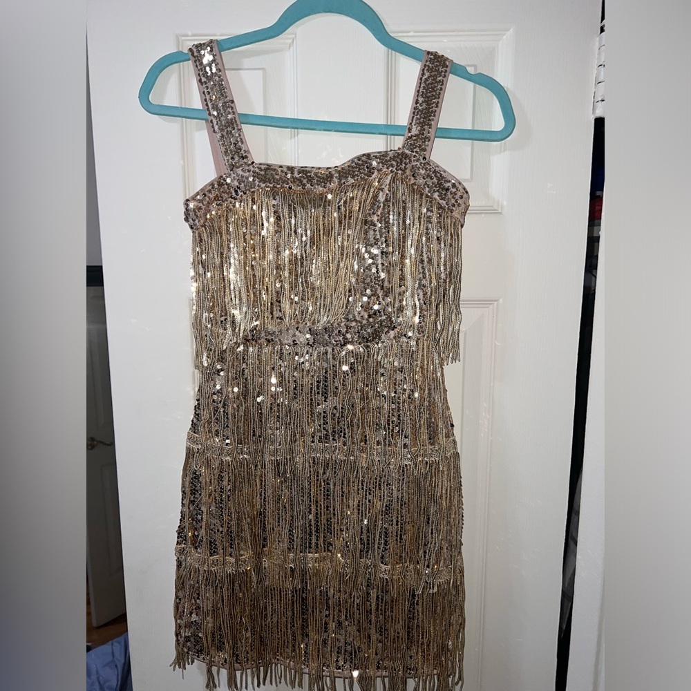 Shein Gold Sequins & Fringe Dress Costume Wear | Party Dress | Roaring 20s Theme